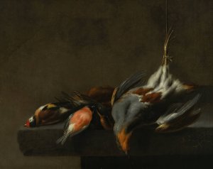 Still Life of Dead Birds by Jan Vonck Oil Painting