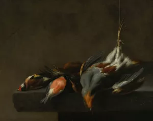 Still Life of Dead Birds by Jan Vonck Oil Painting
