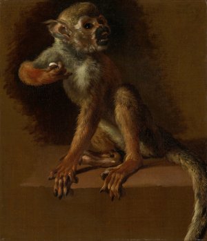 A Seated Monkey by Jan Weenix Oil Painting