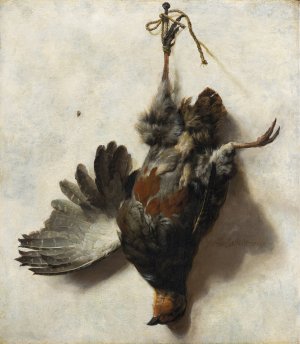 Dead Partridge Hanging from a Nail by Jan Weenix Oil Painting