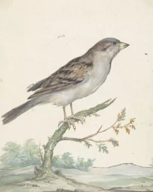 Huismus Oil painting by Jan Weenix