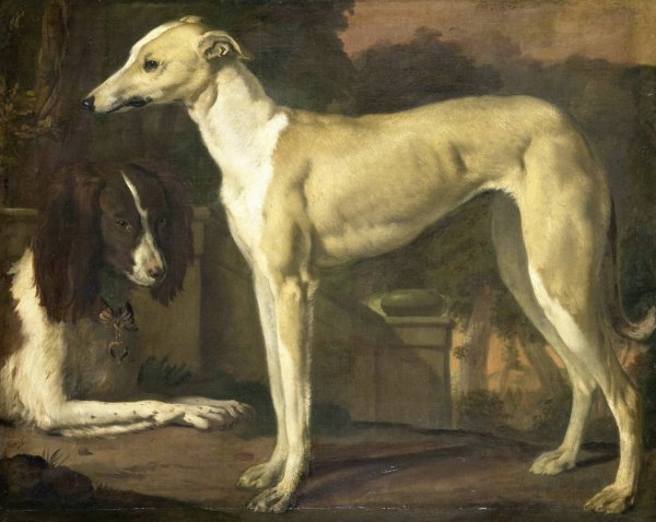 Main Product Photo of Portrait of a Greyhound and Spaniel  Painting by Jan Weenix