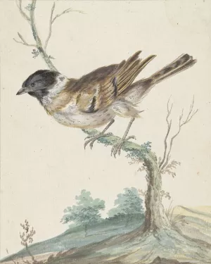Rietgors by Jan Weenix Oil Painting
