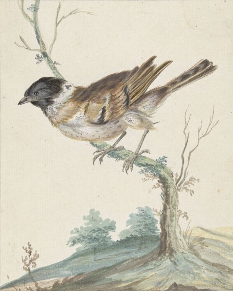 Main Product Photo of Rietgors  Painting by Jan Weenix