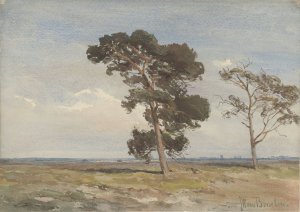 Gezicht op de heide met twee bomen by Jan Willem Van Borselen Oil Painting