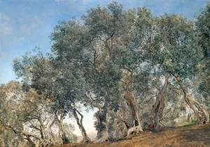 Olive Grove at Tivoly, Italy by Janus La Cour Oil Painting