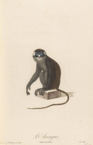 L'Ascagne Oil painting by Jean-Baptiste Audebert