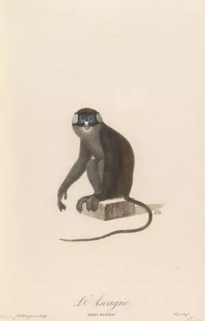 L'Ascagne Oil painting by Jean-Baptiste Audebert