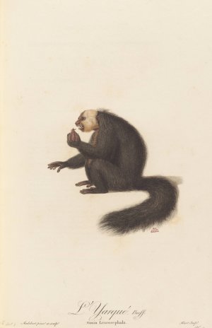 L'Yarque by Jean-Baptiste Audebert Oil Painting