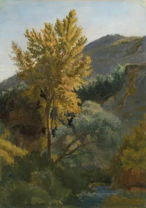 Etude d'arbre pres d'un torrent en Italie by Jean-Baptiste-Camille Corot Oil Painting