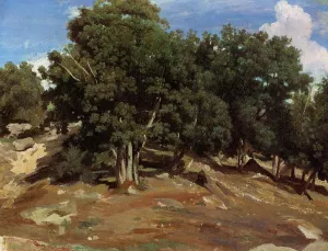 Fontainebleau - Black Oaks of Bas-Breau painting by Jean-Baptiste-Camille Corot