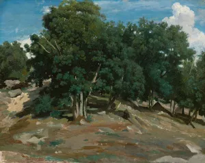 Fontainebleau; Oak Trees at Bas-Breau by Jean-Baptiste-Camille Corot Oil Painting