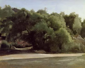 Fontainebleau - the Chailly Road by Jean-Baptiste-Camille Corot Oil Painting