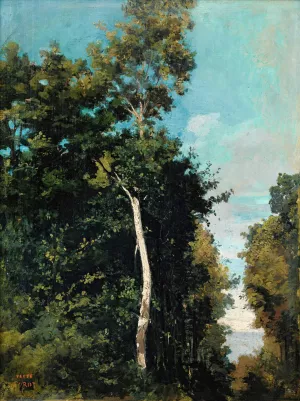 Forest On The Grace Coast In Honfleur by Jean-Baptiste-Camille Corot Oil Painting