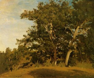 Fountainebleau - Aux Georges d'Apremont by Jean-Baptiste-Camille Corot Oil Painting
