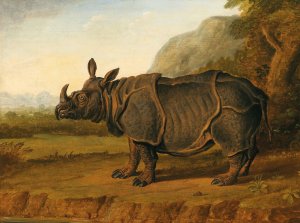 The Rhinoceros Clara by Jean-Baptiste Oudry (Follower) Oil Painting