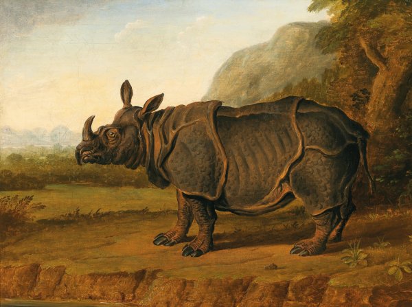 The Rhinoceros Clara by Jean-Baptiste Oudry (Follower) - Hand-Painted Oil Painting Reproduction