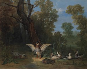 Ducks Resting in Sunshine by Jean-Baptiste Oudry Oil Painting