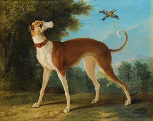 Greyhound In A Landscape by Jean-Baptiste Oudry Oil Painting