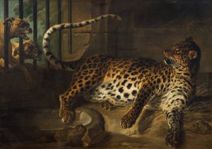 Leopard in a Cage confronted by two Mastiffs by Jean-Baptiste Oudry Oil Painting