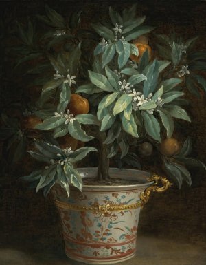 L'oranger by Jean-Baptiste Oudry Oil Painting