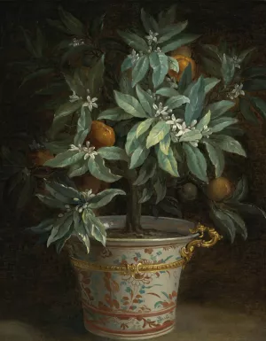 L'oranger by Jean-Baptiste Oudry Oil Painting