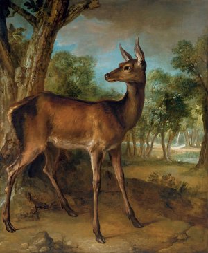 The Watchful Doe by Jean-Baptiste Oudry Oil Painting
