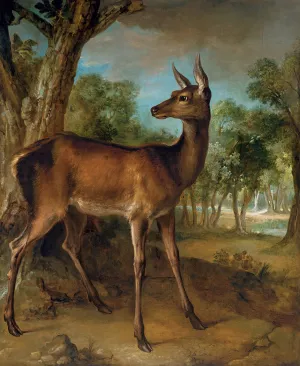 The Watchful Doe by Jean-Baptiste Oudry Oil Painting