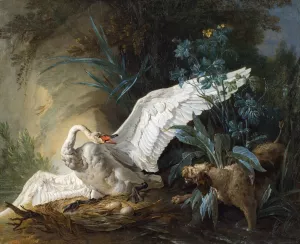 Water Spaniel Surprising a Swan on its Nest by Jean-Baptiste Oudry Oil Painting
