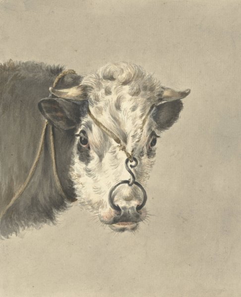 Kop van een koe, met een ring door de neus, van voren  by Jean Bernard - Hand-Painted Oil Painting Reproduction