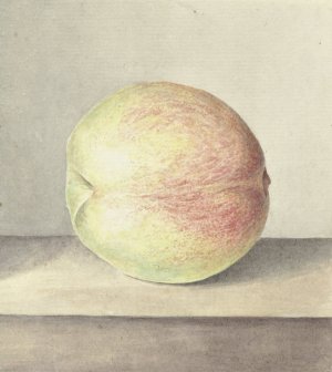 Perzik by Jean Bernard Oil Painting
