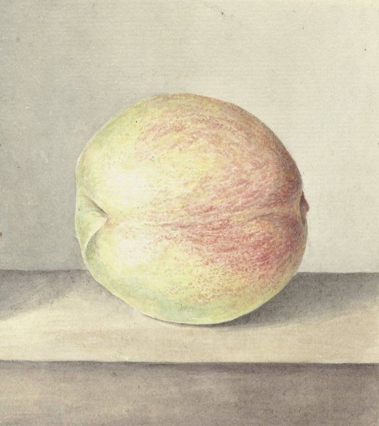 Perzik  by Jean Bernard - Hand-Painted Oil Painting Reproduction