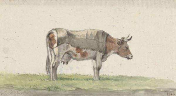 Staande koe, naar rechts  by Jean Bernard - Hand-Painted Oil Painting Reproduction
