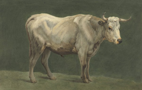 Staande stier, naar rechts  by Jean Bernard - Hand-Painted Oil Painting Reproduction