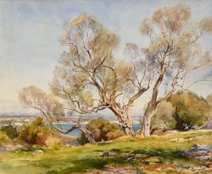 Les Oliviers. Cap d'Antibes by Jean-Henri Zuber Oil Painting