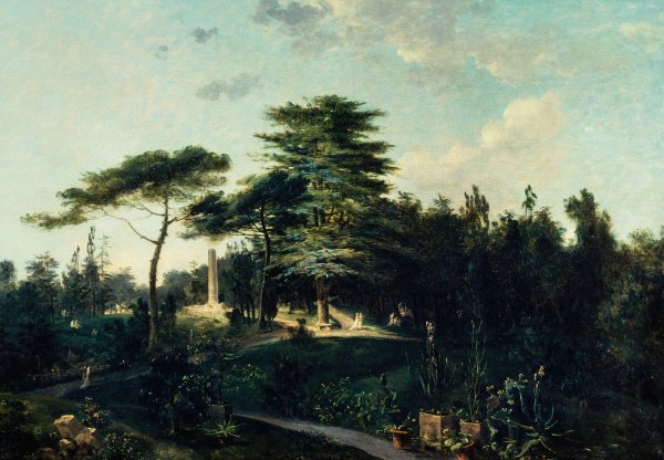 Main Product Photo of Le cedre du Liban, au jardin des Plantes  Painting by Jean Houel