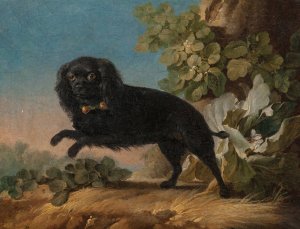 Mimi, le chien favorite de madame de Pompadour by Jean-Jacques Bachelier Oil Painting