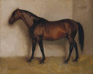 Dollar, a Bay Hunter in a loose Box by Jean-Leon Gerome Oil Painting