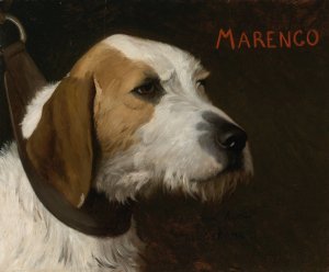 Marengo by Jean-Leon Gerome Oil Painting