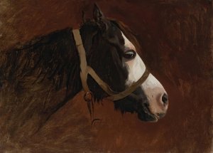 Profile Of A Horse by Jean-Leon Gerome Oil Painting