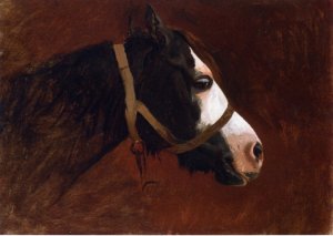 Profile of a Horse by Jean-Leon Gerome Oil Painting