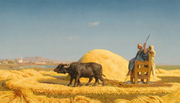 The Grain Threshers, Egypt  by Jean-Leon Gerome - Hand-Painted Oil Painting Reproduction