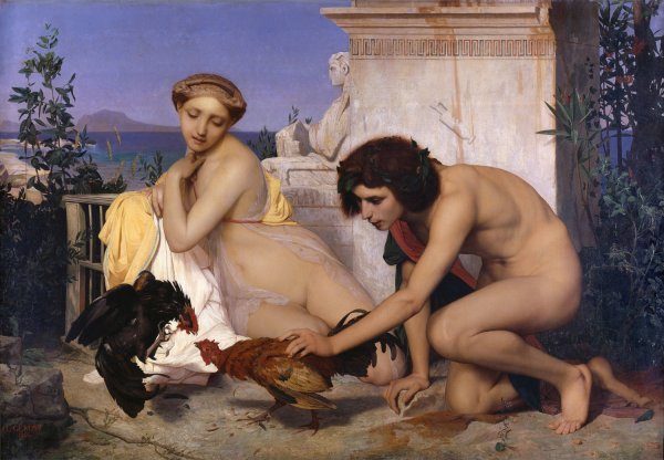 Young Greeks Attending a Cock Fight  by Jean-Leon Gerome - Hand-Painted Oil Painting Reproduction