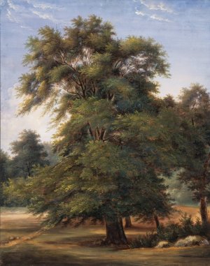 Study of a Tree Oil painting by Jean-Victor Bertin