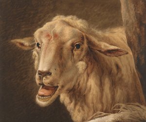 Schaapskop, after Andries Vermeulen by Jean Zacherie Mazel Oil Painting
