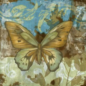 Rustic Butterfly I by Jennifer Goldberger Oil Painting