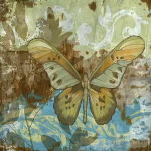Rustic Butterfly II by Jennifer Goldberger Oil Painting