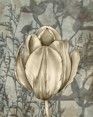 Tulip & Wildflowers I by Jennifer Goldberger Oil Painting