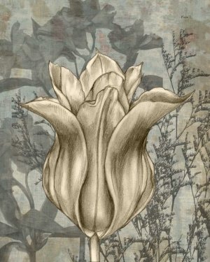 Tulip & Wildflowers III by Jennifer Goldberger Oil Painting