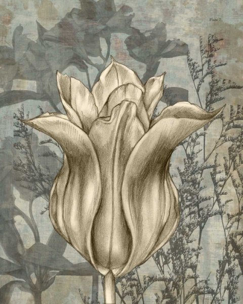 Tulip & Wildflowers III by Jennifer Goldberger - Hand-Painted Oil Painting Reproduction